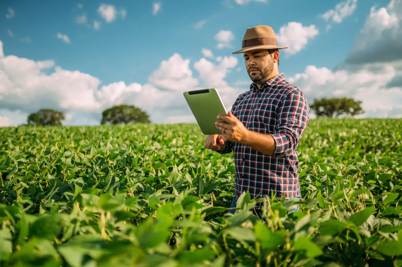 Produtor rural consultando dados da lavoura no tablet